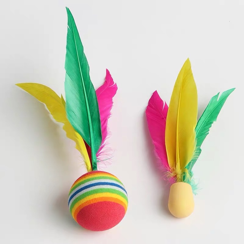 Jazzminton ao ar livre conjunt - Badminton Shuttlecock avaliação e preço